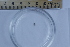  ( - CCDB-31224-E09)  @11 [ ] Creative Commons - Attribution Non-Commercial Share-Alike  (2021) Jessica Schultz University of Guelph