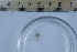  ( - CCDB-31225-B10)  @11 [ ] Creative Commons - Attribution Non-Commercial Share-Alike  (2021) Jessica Schultz University of Guelph