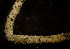  ( - CCDB-31230-B03)  @11 [ ] Creative Commons - Attribution Non-Commercial Share-Alike  (2021) Jessica Schultz University of Guelph