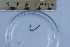  ( - CCDB-31230-B03)  @11 [ ] Creative Commons - Attribution Non-Commercial Share-Alike  (2021) Jessica Schultz University of Guelph