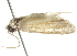  ( - 09-NSWHH-1970)  @12 [ ] CreativeCommons - Attribution (2010) CBG Photography Group Centre for Biodiversity Genomics