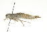  ( - 09-NSWHH-2021)  @13 [ ] CreativeCommons - Attribution (2010) CBG Photography Group Centre for Biodiversity Genomics