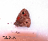  ( - McGuire09-CAL-Sat7)  @13 [ ] Unspecified (default): All Rights Reserved  Unspecified Unspecified