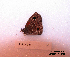  ( - McGuire09-CAL-Sat12)  @12 [ ] Unspecified (default): All Rights Reserved  Unspecified Unspecified