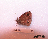  ( - McGuire09-CAL-Sat13)  @12 [ ] Unspecified (default): All Rights Reserved  Unspecified Unspecified