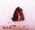  ( - McGuire09-CAL-Sat14)  @12 [ ] Unspecified (default): All Rights Reserved  Unspecified Unspecified
