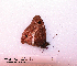  ( - McGuire09-CAL-Sat16)  @12 [ ] Unspecified (default): All Rights Reserved  Unspecified Unspecified