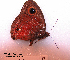  ( - McGuire09-CAL-Sat17)  @12 [ ] Unspecified (default): All Rights Reserved  Unspecified Unspecified