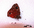  ( - McGuire09-CAL-Sat20)  @12 [ ] Unspecified (default): All Rights Reserved  Unspecified Unspecified