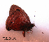  ( - McGuire09-CAL-Sat21)  @12 [ ] Unspecified (default): All Rights Reserved  Unspecified Unspecified