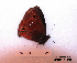 ( - McGuire09-CAL-Sat24)  @12 [ ] Unspecified (default): All Rights Reserved  Unspecified Unspecified
