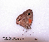  ( - McGuire09-CAL-Sat34)  @12 [ ] Unspecified (default): All Rights Reserved  Unspecified Unspecified