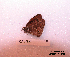  ( - McGuire09-CAL-Sat38)  @12 [ ] Unspecified (default): All Rights Reserved  Unspecified Unspecified