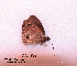  ( - McGuire09-CAL-Sat40)  @12 [ ] Unspecified (default): All Rights Reserved  Unspecified Unspecified