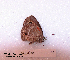  ( - McGuire09-CAL-Sat41)  @12 [ ] Unspecified (default): All Rights Reserved  Unspecified Unspecified