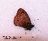  ( - McGuire09-CAL-Sat52)  @12 [ ] Unspecified (default): All Rights Reserved  Unspecified Unspecified