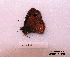  ( - McGuire09-CAL-Sat53)  @12 [ ] Unspecified (default): All Rights Reserved  Unspecified Unspecified