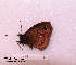  ( - McGuire09-CAL-Sat54)  @12 [ ] Unspecified (default): All Rights Reserved  Unspecified Unspecified