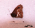  ( - McGuire09-CAL-Sat56)  @12 [ ] Unspecified (default): All Rights Reserved  Unspecified Unspecified