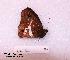  ( - McGuire09-CAL-Sat60)  @12 [ ] Unspecified (default): All Rights Reserved  Unspecified Unspecified