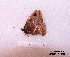  ( - McGuire09-CAL-Sat63)  @12 [ ] Unspecified (default): All Rights Reserved  Unspecified Unspecified