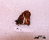  ( - McGuire09-CAL-Sat72)  @12 [ ] Unspecified (default): All Rights Reserved  Unspecified Unspecified