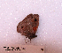  ( - McGuire09-CAL-Sat78)  @12 [ ] Unspecified (default): All Rights Reserved  Unspecified Unspecified