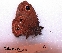  ( - McGuire09-CAL-Sat93)  @12 [ ] Unspecified (default): All Rights Reserved  Unspecified Unspecified