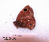  ( - McGuire09-CAL-Sat94)  @12 [ ] Unspecified (default): All Rights Reserved  Unspecified Unspecified