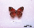  ( - McGuire09-CAL-Sat97)  @13 [ ] Unspecified (default): All Rights Reserved  Unspecified Unspecified