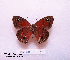  ( - McGuire09-CAL-Sat100)  @13 [ ] Unspecified (default): All Rights Reserved  Unspecified Unspecified
