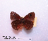  ( - McGuire09-CAL-Sat102)  @12 [ ] Unspecified (default): All Rights Reserved  Unspecified Unspecified
