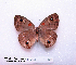  ( - McGuire09-CAL-Sat104)  @13 [ ] Unspecified (default): All Rights Reserved  Unspecified Unspecified