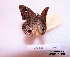  ( - McGuire09-CAL-Sat105)  @13 [ ] Unspecified (default): All Rights Reserved  Unspecified Unspecified