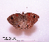  ( - McGuire09-CAL-Sat107)  @13 [ ] Unspecified (default): All Rights Reserved  Unspecified Unspecified