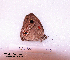  ( - McGuire09-CAL-Sat110)  @12 [ ] Unspecified (default): All Rights Reserved  Unspecified Unspecified