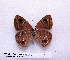  ( - McGuire09-CAL-Sat115)  @13 [ ] Unspecified (default): All Rights Reserved  Unspecified Unspecified