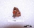  ( - McGuire09-CAL-Sat122)  @12 [ ] Unspecified (default): All Rights Reserved  Unspecified Unspecified