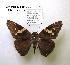  ( - McGuire09-DR-Skip32)  @12 [ ] Unspecified (default): All Rights Reserved  Unspecified Unspecified