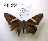  ( - McGuire09-DR-Skip59)  @12 [ ] Unspecified (default): All Rights Reserved  Unspecified Unspecified