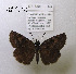  ( - McGuire09-DR-Skip63)  @13 [ ] Unspecified (default): All Rights Reserved  Unspecified Unspecified