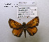  ( - McGuire09-DR-Skip36)  @14 [ ] Unspecified (default): All Rights Reserved  Unspecified Unspecified