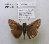  ( - McGuire09-DR-Skip57)  @12 [ ] Unspecified (default): All Rights Reserved  Unspecified Unspecified