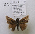  ( - McGuire09-DR-Skip52)  @12 [ ] Unspecified (default): All Rights Reserved  Unspecified Unspecified