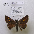  ( - McGuire09-DR-Skip10)  @12 [ ] Unspecified (default): All Rights Reserved  Unspecified Unspecified