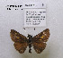  ( - McGuire09-DR-Skip44)  @12 [ ] Unspecified (default): All Rights Reserved  Unspecified Unspecified