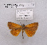  ( - McGuire09-DR-Skip18)  @13 [ ] Unspecified (default): All Rights Reserved  Unspecified Unspecified