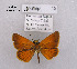  ( - McGuire09-DR-Skip15)  @12 [ ] Unspecified (default): All Rights Reserved  Unspecified Unspecified