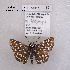  ( - McGuire09-DR-Skip85)  @13 [ ] Unspecified (default): All Rights Reserved  Unspecified Unspecified