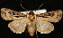  ( - UBC-2006-0201)  @14 [ ] Unspecified (default): All Rights Reserved  Unspecified Unspecified